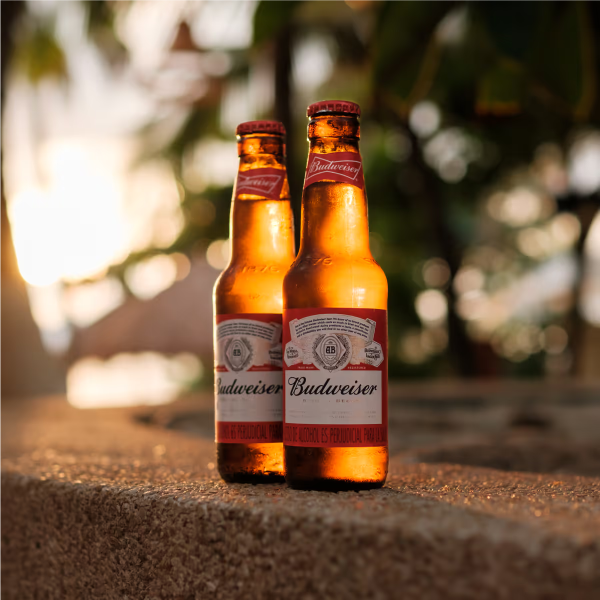 Kilymandiario Restaurante - Cervezas